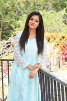 Seema Chowdary Gallery